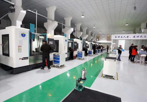 嘉善縣創(chuàng)新實(shí)施新就業(yè)群體關(guān)愛項(xiàng)目交辦領(lǐng)辦機(jī)制