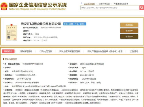 武漢華創華麗轉身 從中乙升班馬到“武漢江城”的戰略躍遷